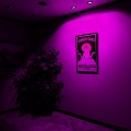 6 PACK 3W Multi-Color E26 LED Bulbs, Dimmable RGB Spotlight Bulbs with 2 Remote Controllers, Color Changing Reflector, LED Mood Light Bulbs, for General, Decorative, Accent Lighting - Silver
