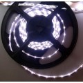 16.4Ft/5M 12V 24W LED Light Strip - 335 SMD 300LEDs Strip Lights - Waterproof IP-65