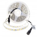 Dimmable Premium OmaiLighting Warm White LED Strip Lights 16.4ft 300 LED 12-Volt DC UL-Listed Tape Backed Flexible Ribbon for Bedroom, Under Cabinet Lighting, Kitchen, Closets, Home Office