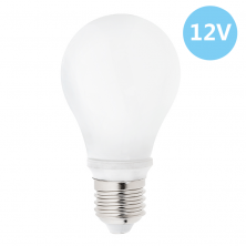 A19 LED Bulb - 60 Watt Equivalent Globe Bulb - 12V DC