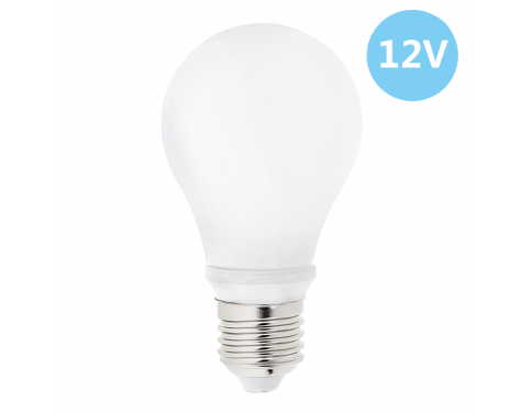 A19 LED Bulb - 60 Watt Equivalent Globe Bulb - 12V DC