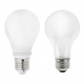 A19 LED Bulb - 60 Watt Equivalent Globe Bulb - 12V DC