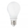 A19 LED Bulb - 60 Watt Equivalent Globe Bulb - 12V DC