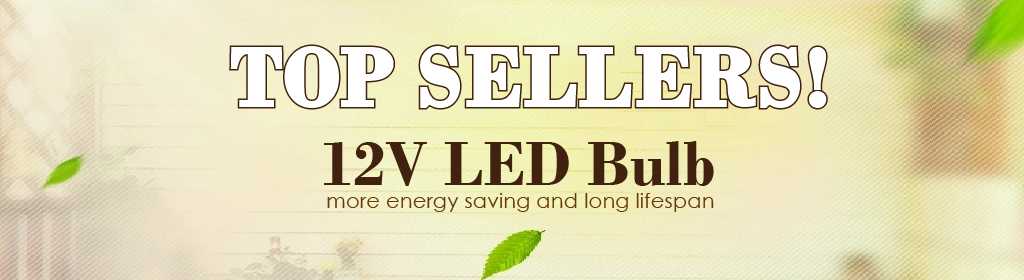 12 volt led bulb