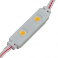 16.4-Feet String of 50 Water-Resistant Mini LED Modules, Each with 2xSMD3528, 12-Volt, Warm White