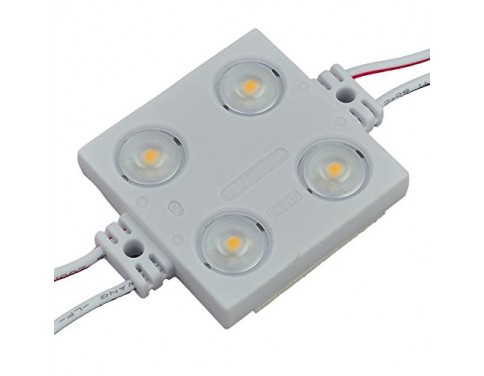 16-Feet String of 25 Water-Resistant High Output LED Modules, Each with 4xSMD2835, 12-Volt, Warm White