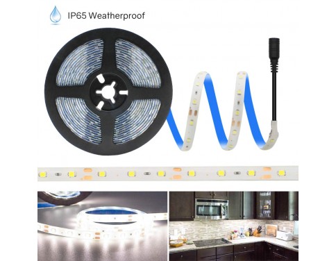 Weatherproof LED Light Strip - 5000K SMD 3528 - 300 LEDs, 16.4' Roll - 12V DC - 82 Lumens / 1.5W per Foot, Cool White