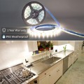 Weatherproof LED Light Strip - 5000K SMD 3528 - 300 LEDs, 16.4' Roll - 12V DC - 82 Lumens / 1.5W per Foot, Cool White