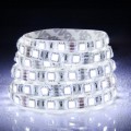 12V LED Flexible Strip 60W 300*5050SMD IP65 Epoxy Natural White(DC12V/5m) Christmas Lights