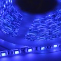 Blue LED Strip One Roll 5 Meters for 3528 5050 SMD LED Lamp Light Strip