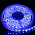 Blue LED Strip One Roll 5 Meters for 3528 5050 SMD LED Lamp Light Strip