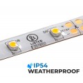 5m White LED Strip Light - Eco Series Tape Light - 12V/24V - IP54 Weatherproof