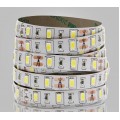 Blue LED Strip One Roll 5 Meters for 3528 5050 SMD LED Lamp Light Strip