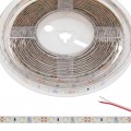 5m White LED Strip Light - Eco Series Tape Light - 12V/24V - IP54 Weatherproof