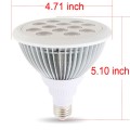 15W LED Par38 Bulb Brideglux LED Accent Lighting 45 Degree Lighting Angle Day White