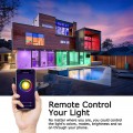 Intekit Smart LED Light Bulb E26 WiFi Multicolor Light Bulb Work with Alexa,Siri, Echo, Google Home (No Hub Required), A19 60W Equivalent RGB Color Changing Bulb (2 Pack)